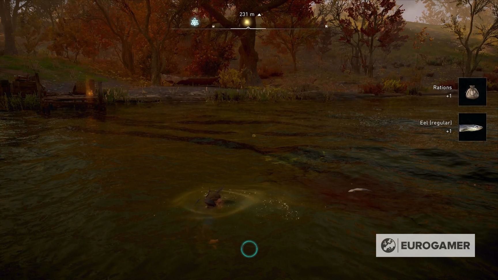 Assassin's Creed Valhalla Eel locations How to get Eel and add it